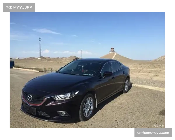 岁迷你罗分享人生首辆车,兰博基尼成社交媒体热点